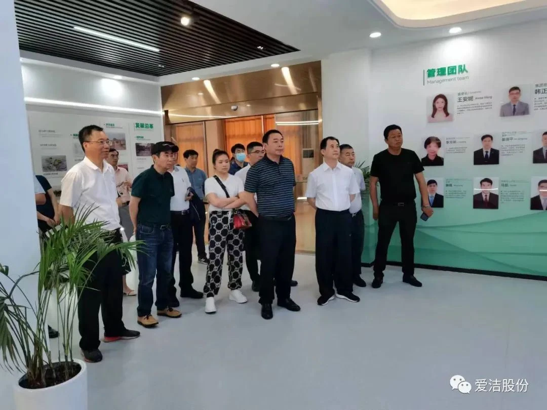 Hubei Huaqiang Kimya Sanayi Grubu Genel Müdürü Xu Hualin ve Partisi, Denetim ...